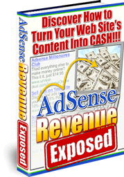AdSense Revenue Exposed - learn how to cash in like the big boys!!!