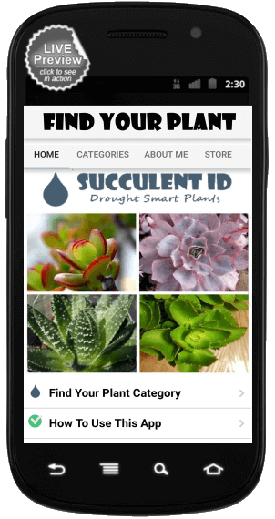 SucculentID Mobile App