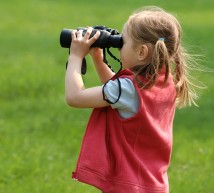 Stop Right Click Theft