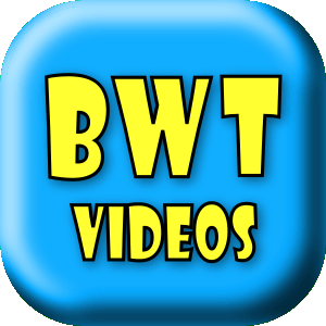 BWT Videos Animation Creation Service