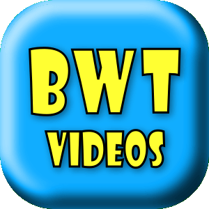 BWT Videos Animation Creation Service BWT Videos Animation Creation Service