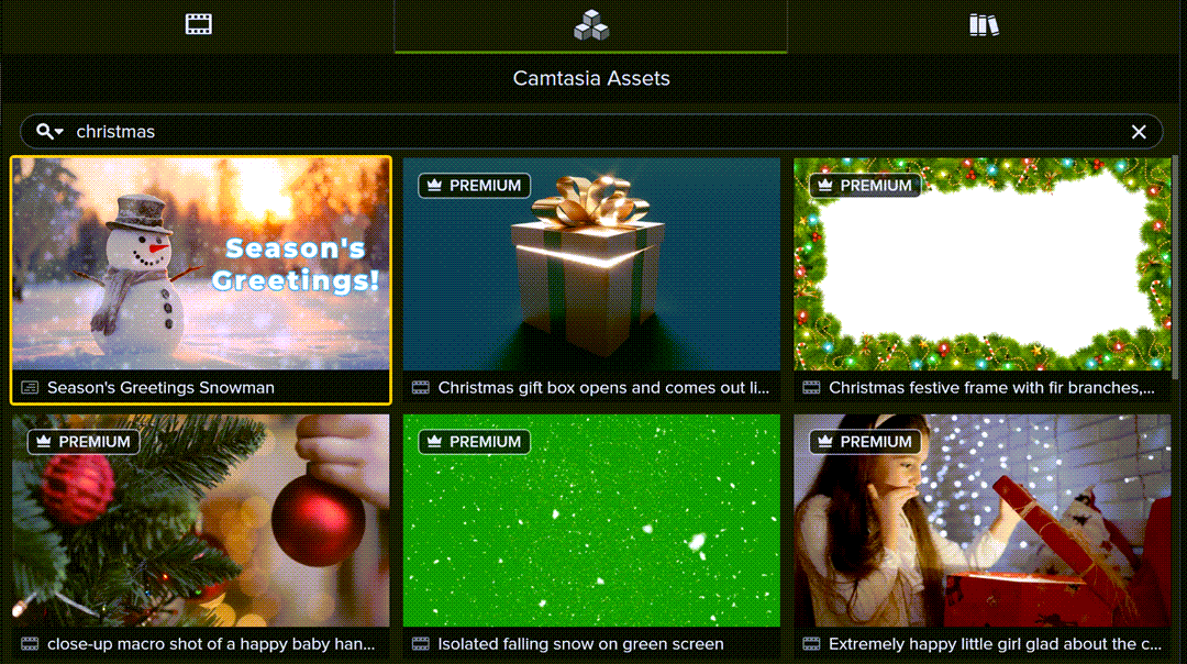 Camtasia Assets christmas Time