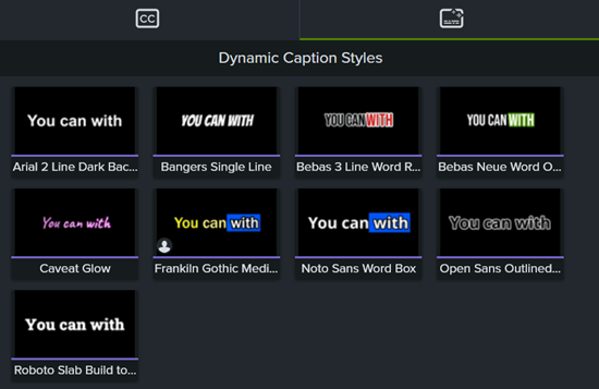 Camtasia Dynamic Caption Styles