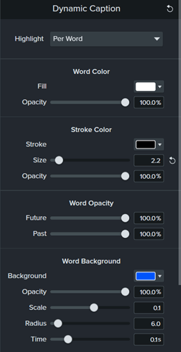 Camtasia Dynamic Caption Variable