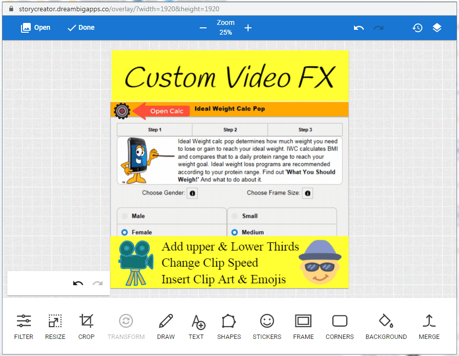 Overlay editor in Custom Video FX