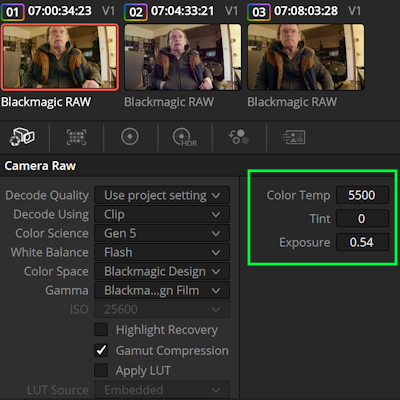 DaVinci Camera Raw Panel