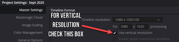 DaVinci Resolve vertical resolution solution
