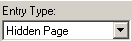 Hidden page entry