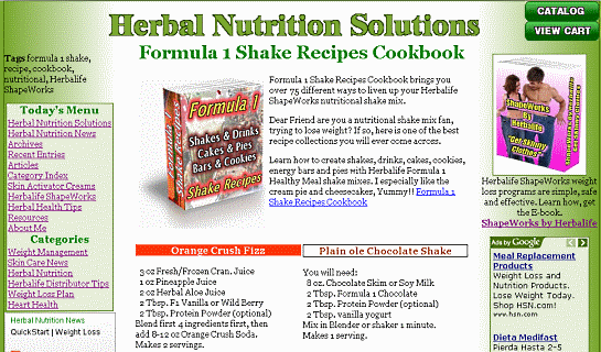 HNS news blog top - Easy Blogs in action