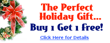 Site Build It 2 for 1 special deal.