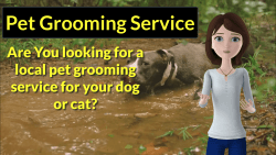 Pet Groomming Service Promo