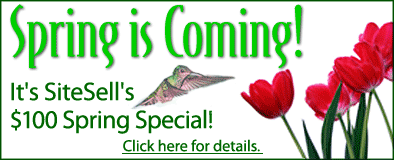 Site Build It Spring special