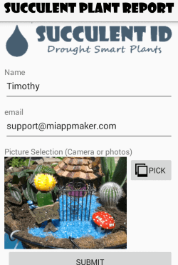 Succulent Plant Report page