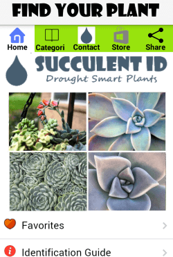 Succulentid Home Page
