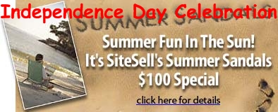 Site Build It! - Summer special