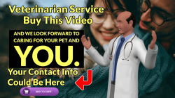 Veterinarian Promo thumbnail